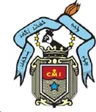 CMI Group of Institutions logo